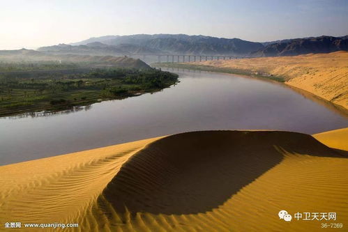 中卫沙坡头桂王园的传说与景区管理探秘