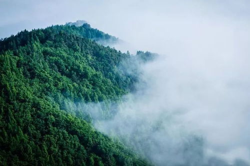 行行摄摄日光山 在图们小城的静谧时光中寻访山间仙境