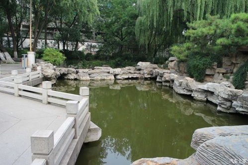 济宁CS75银自精遗珠游览 天下第一泉趵突泉景区的静谧之美与景区管理的思辨