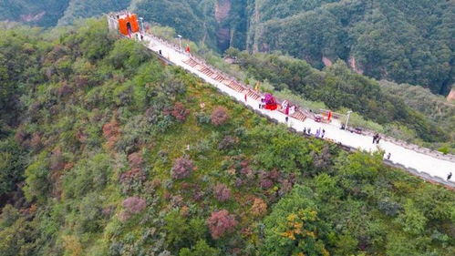 多彩假期 活力文旅 探索景区管理新路径